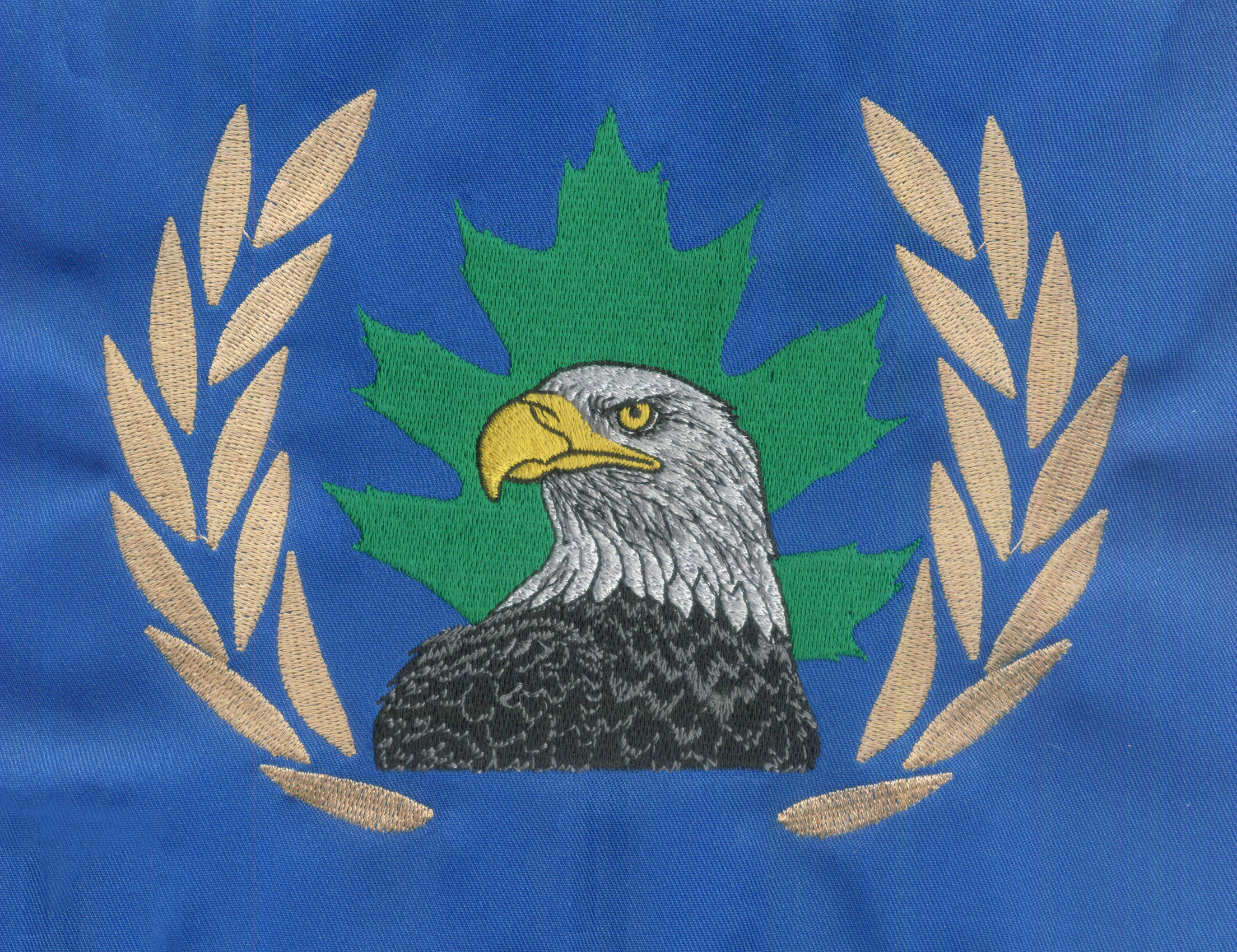 eagle design